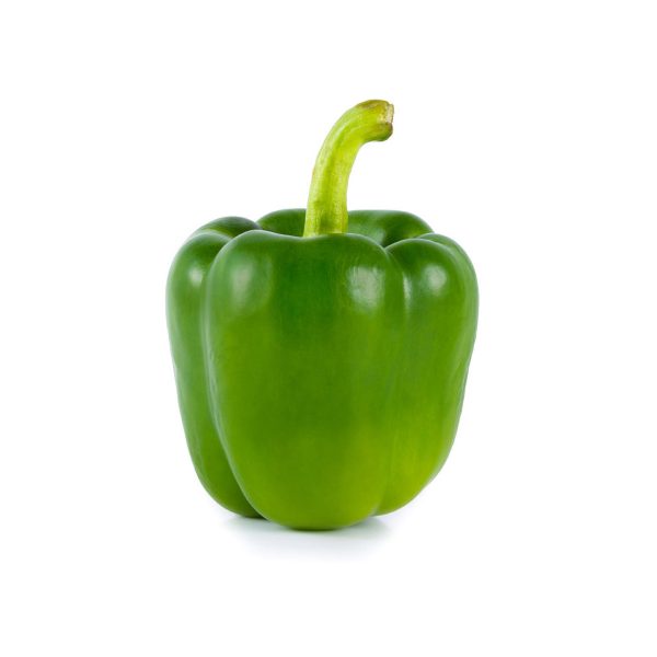 Chile Bell Pepper